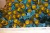 Click to display the file, background-lights yellow.jpg